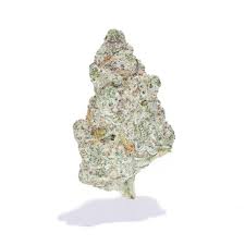 CIBOLA INDOOR AAA INFUSED SNOWBALLS / 62 % / 5.0 ( 114 reviews )