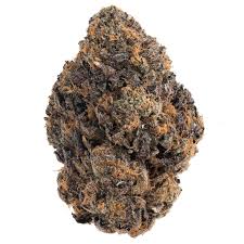 RUNTZ AAA TOP SHELF INDOOR FLOWER STRAINS