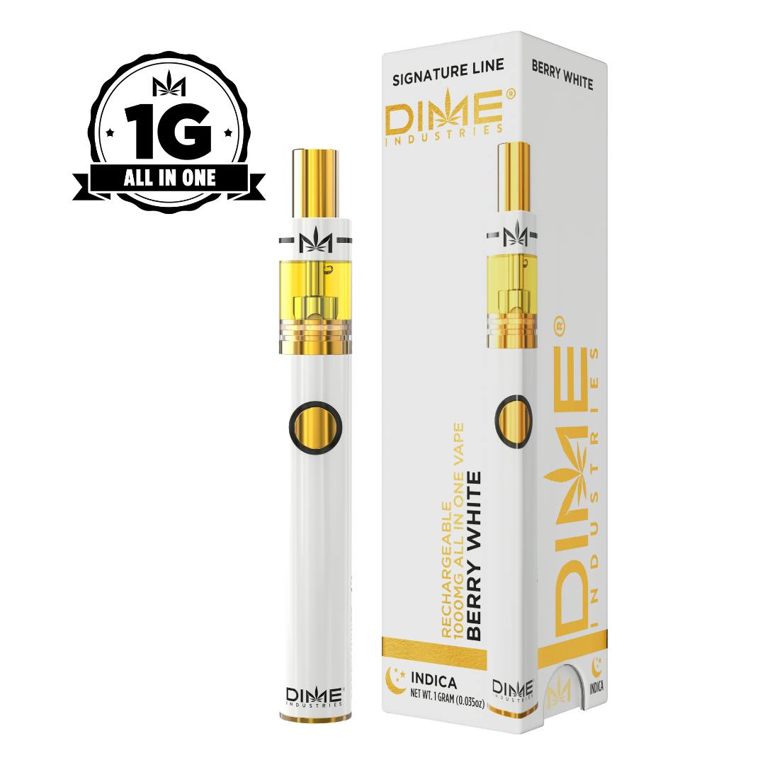 DIME 1G  DISPOSABLE VAPE PENS