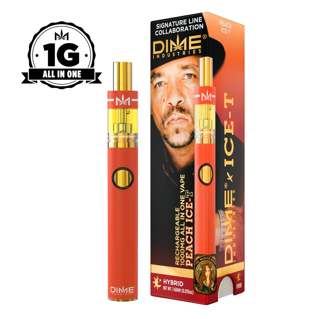 DIME 1G  DISPOSABLE VAPE PENS
