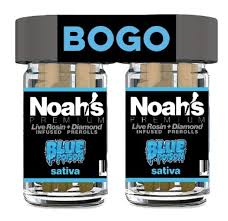 NOAH'S / INFUSED PREROLLS / 7G / 40 %